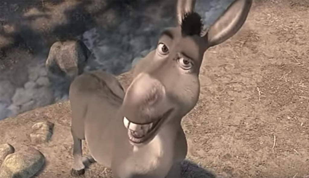 donkey