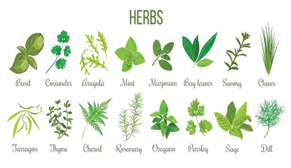 herbs