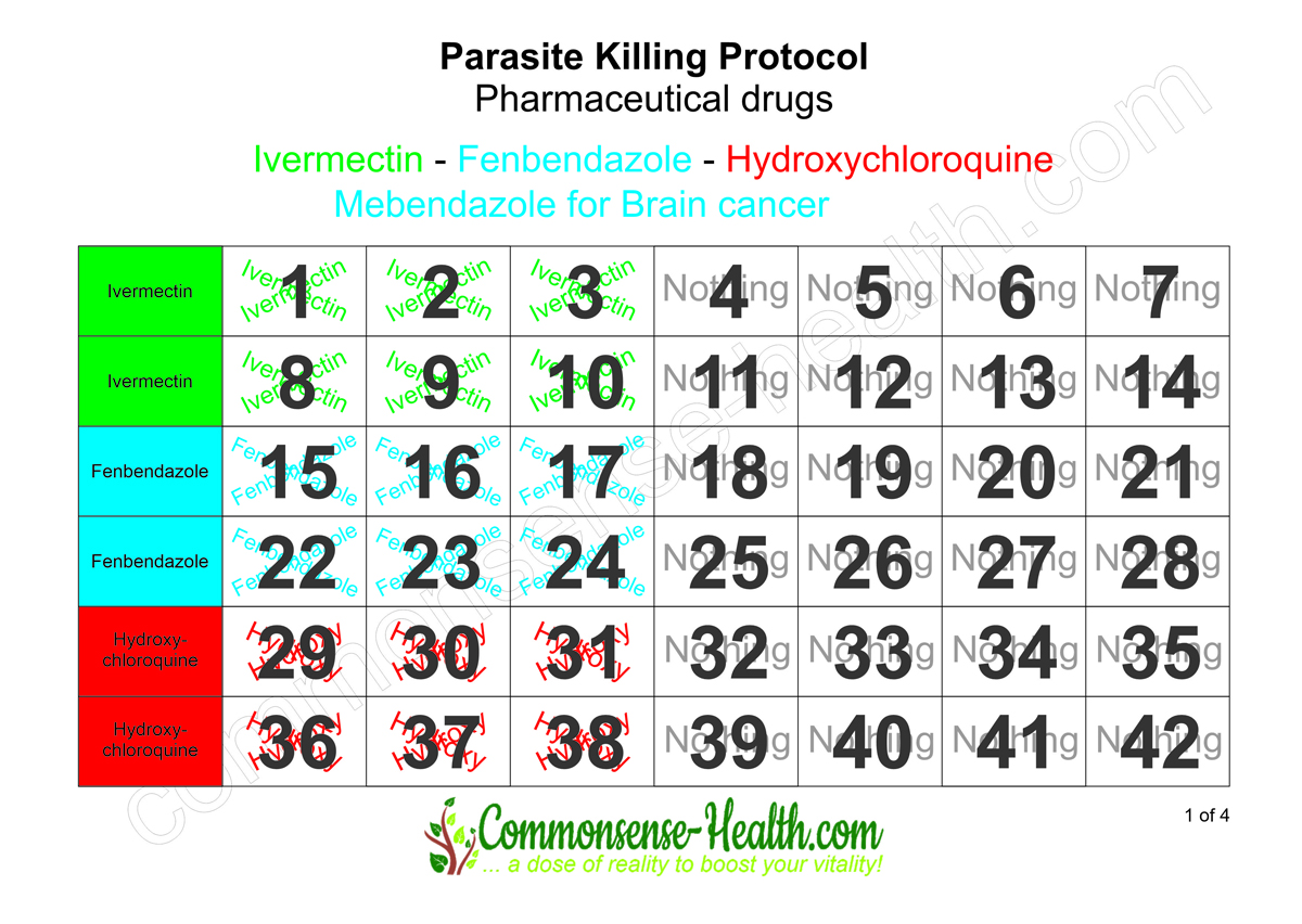 Pharma Protocol-1-16-9