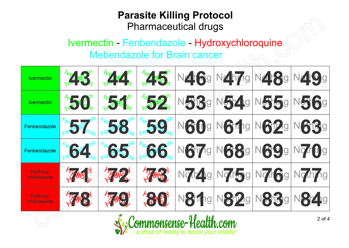 Pharma Protocol-2-16-9