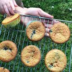 Blackberry Lemon Cakes