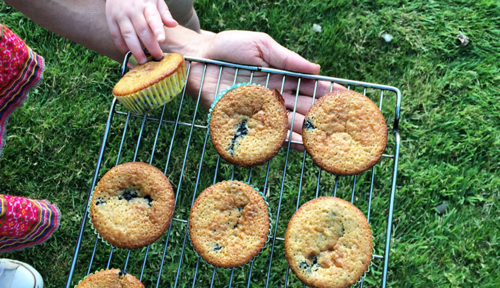 Blackberry Lemon Cakes
