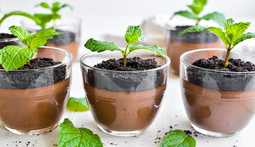 Mint Chocolate Pudding