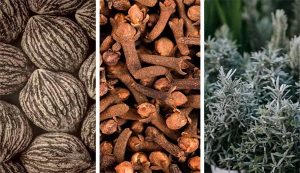 Wormwood Protocol