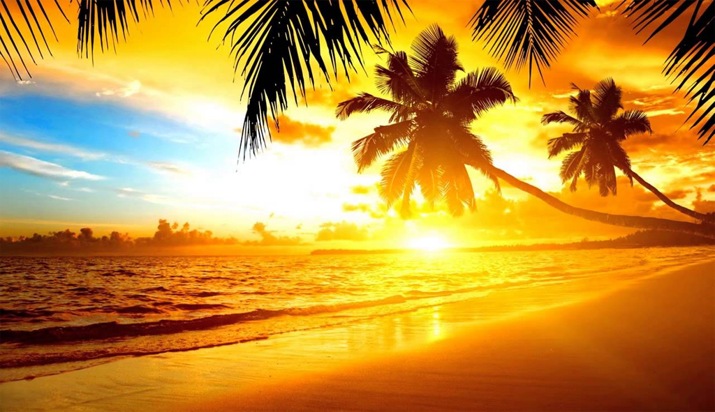 Sunlight
